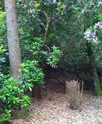 J M Gardening, West Wellow, Hampshire