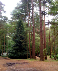 J M Gardening, West Wellow, Hampshire