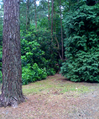 J M Gardening, West Wellow, Hampshire