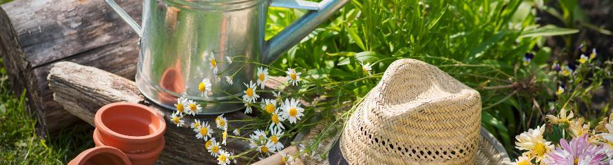 Jerry Morris Gardening Maintenance and Consultant - 07930 755642